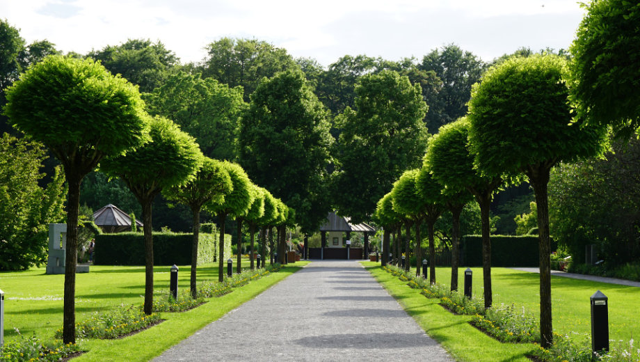 botanischer garten aachen