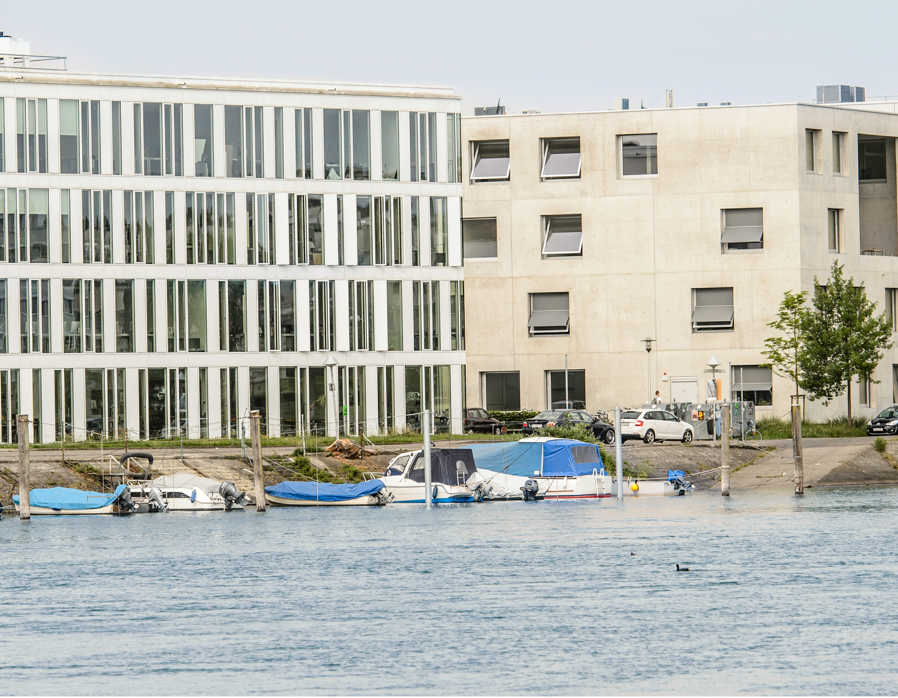 Ist Konstanz eine Studentenstadt?